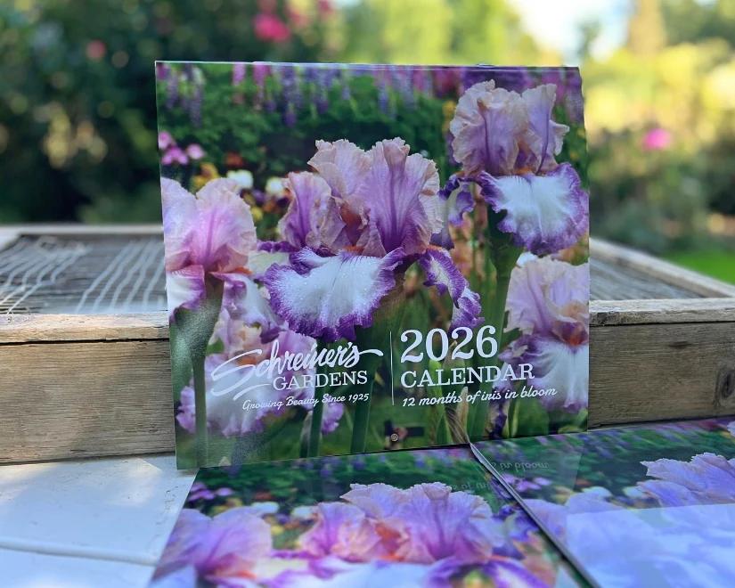2026 Wall Calendar - 12 months of Iris in Bloom
