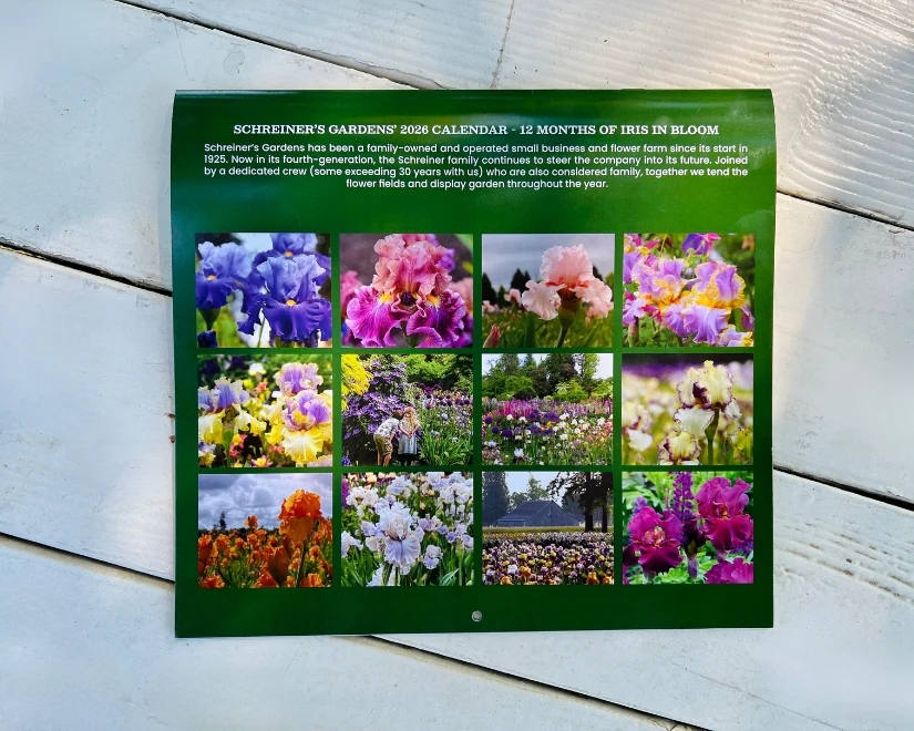2026 Wall Calendar - 12 months of Iris in Bloom - Image 2