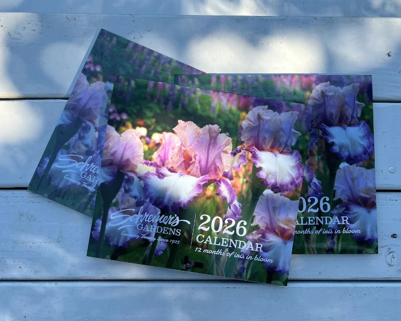 2026 Wall Calendar - 12 months of Iris in Bloom - Image 3