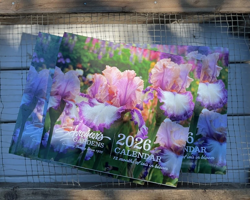 2026 Wall Calendar - 12 months of Iris in Bloom - Image 4
