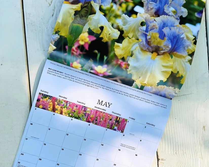 2026 Wall Calendar - 12 months of Iris in Bloom - Image 5