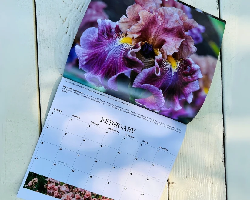 2026 Wall Calendar - 12 months of Iris in Bloom - Image 6
