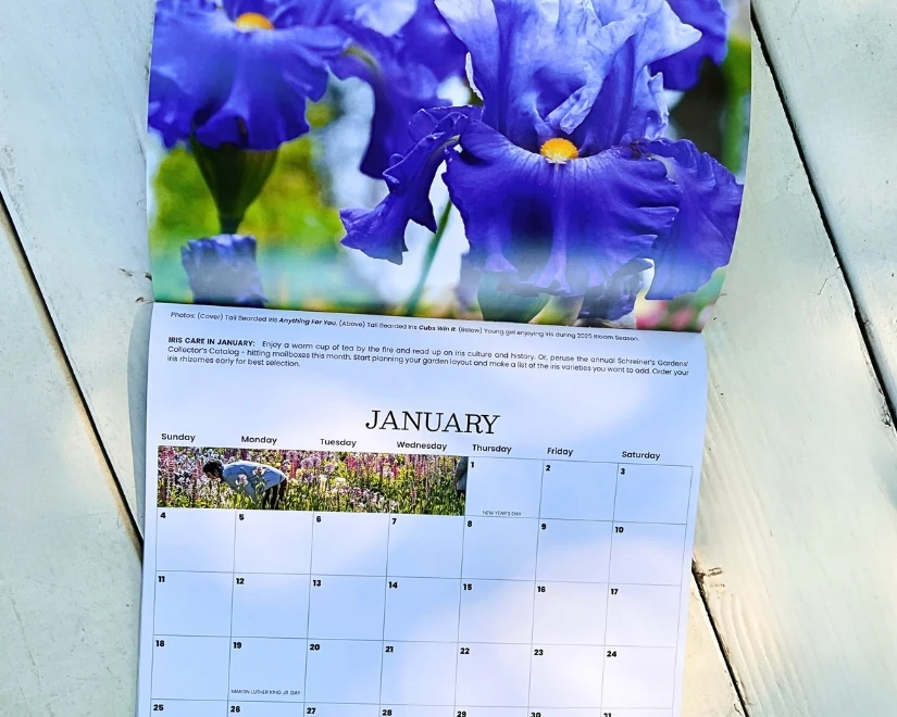 2026 Wall Calendar - 12 months of Iris in Bloom - Image 7
