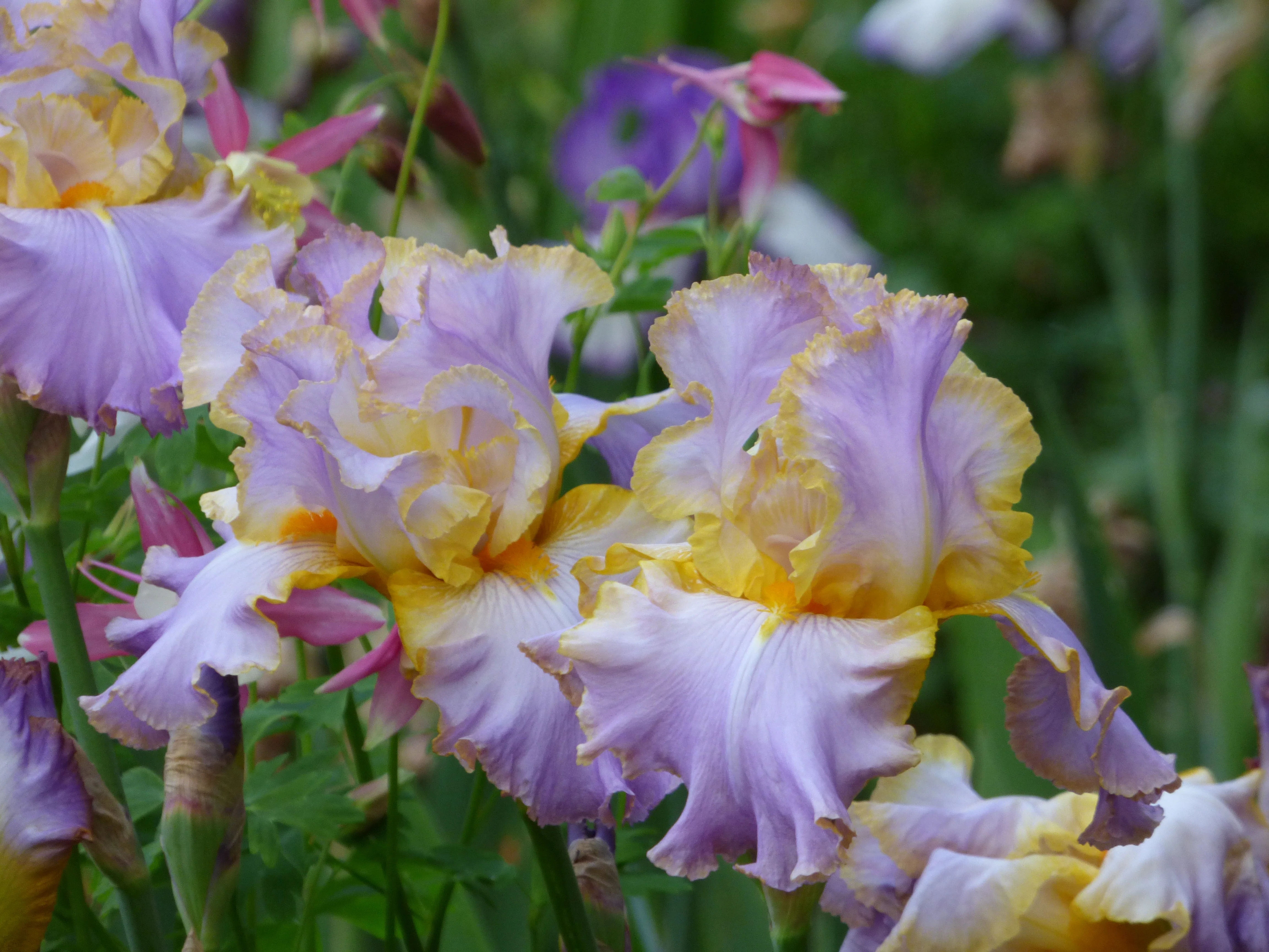All About Spring - Image 2