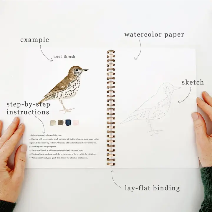 Emily Lex Watercolorbook - Birds - Image 3