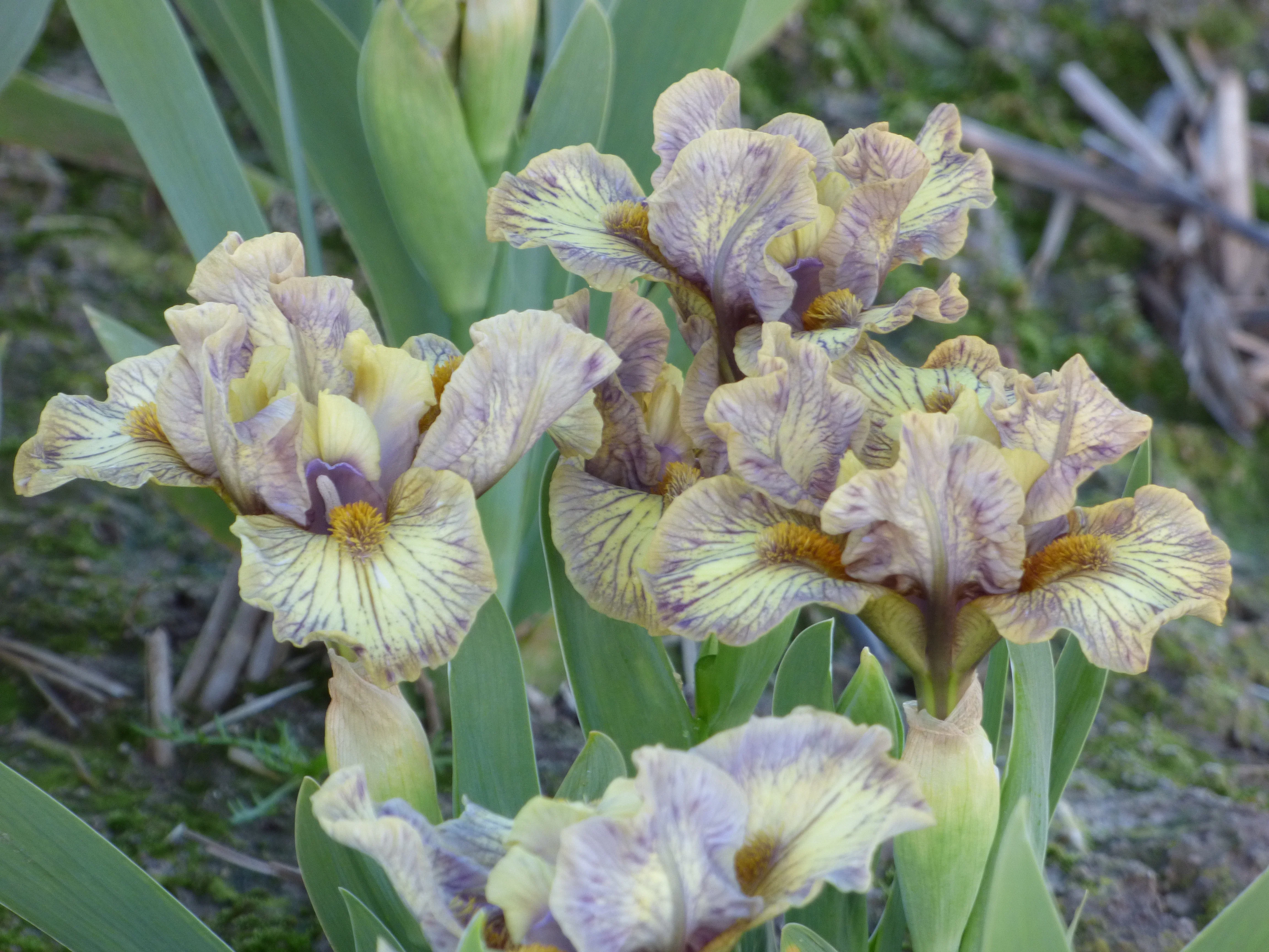 Ashland - Image 3