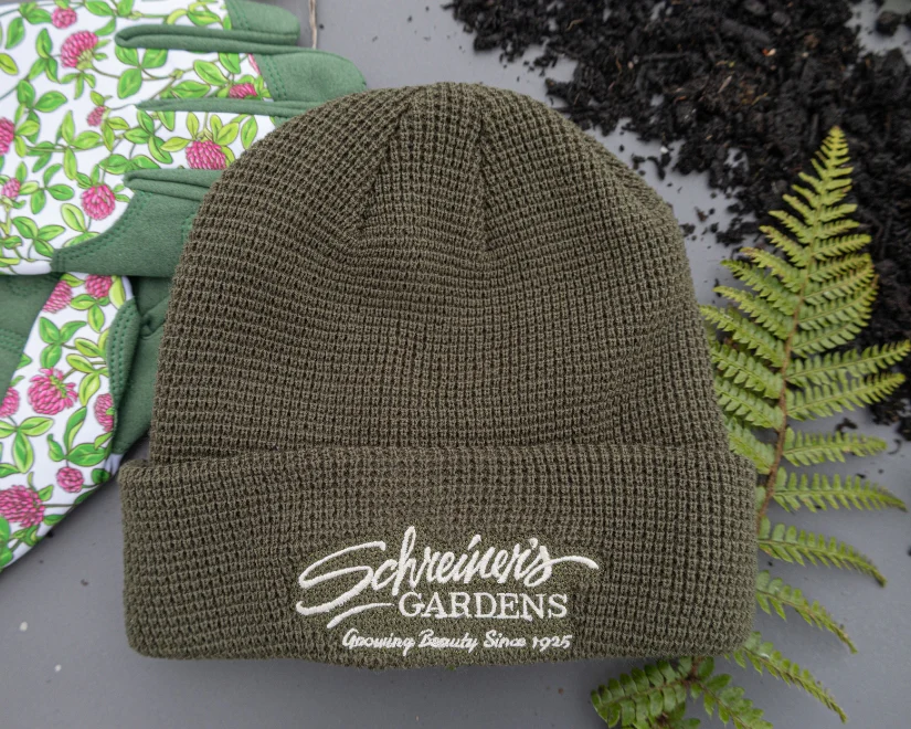 Apparel: Beanies - Image 4