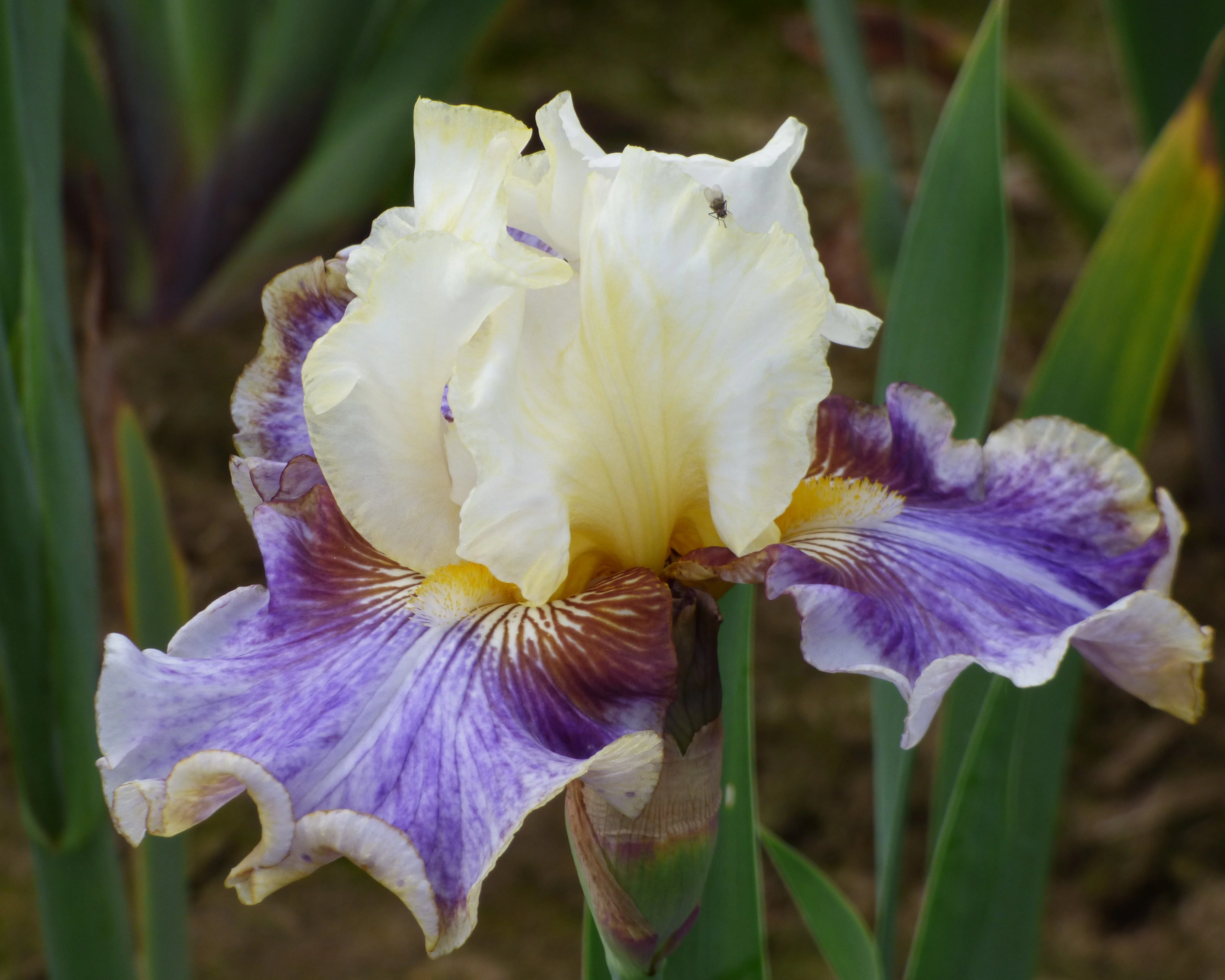 Coos Bay - Image 2