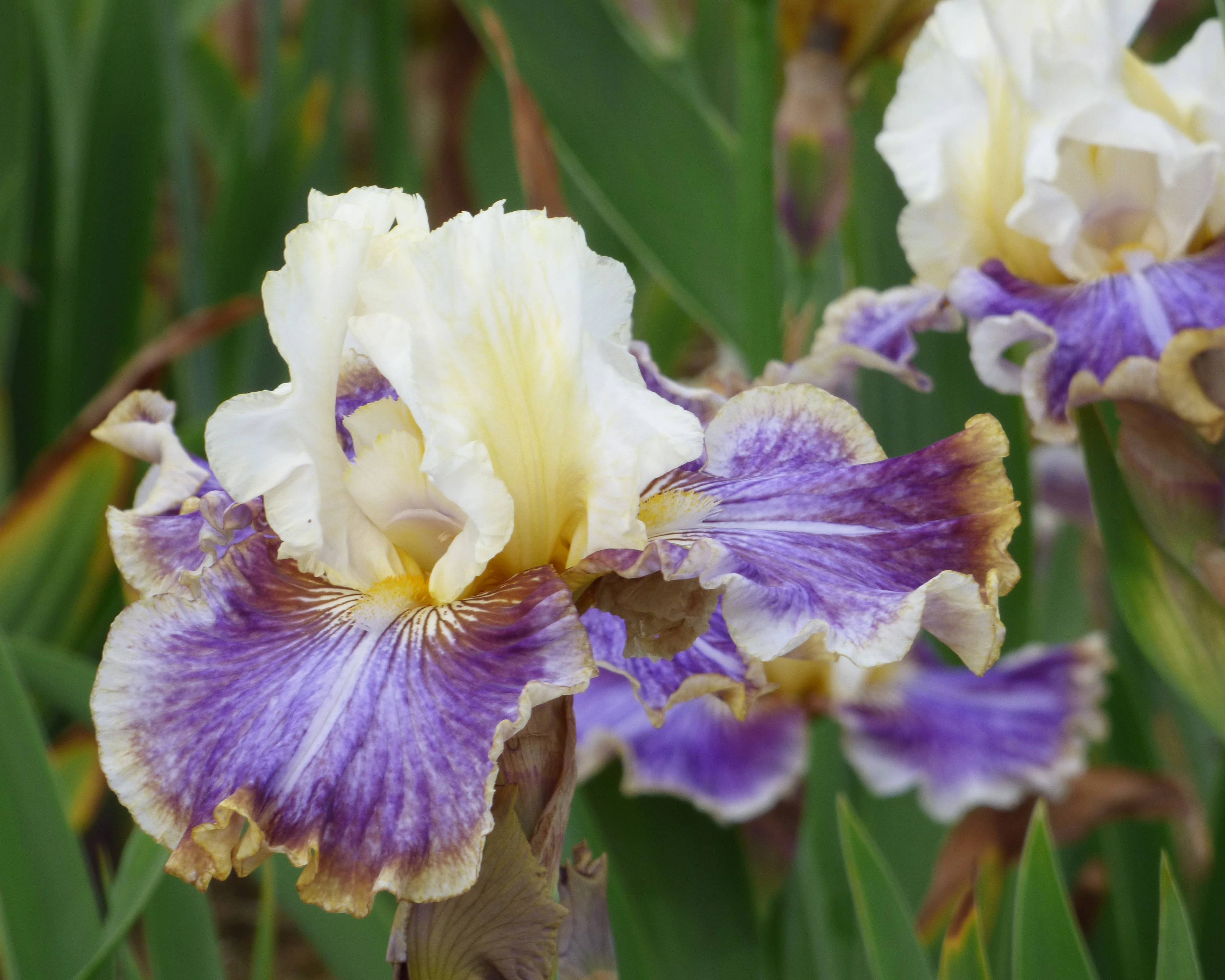 Coos Bay - Image 4