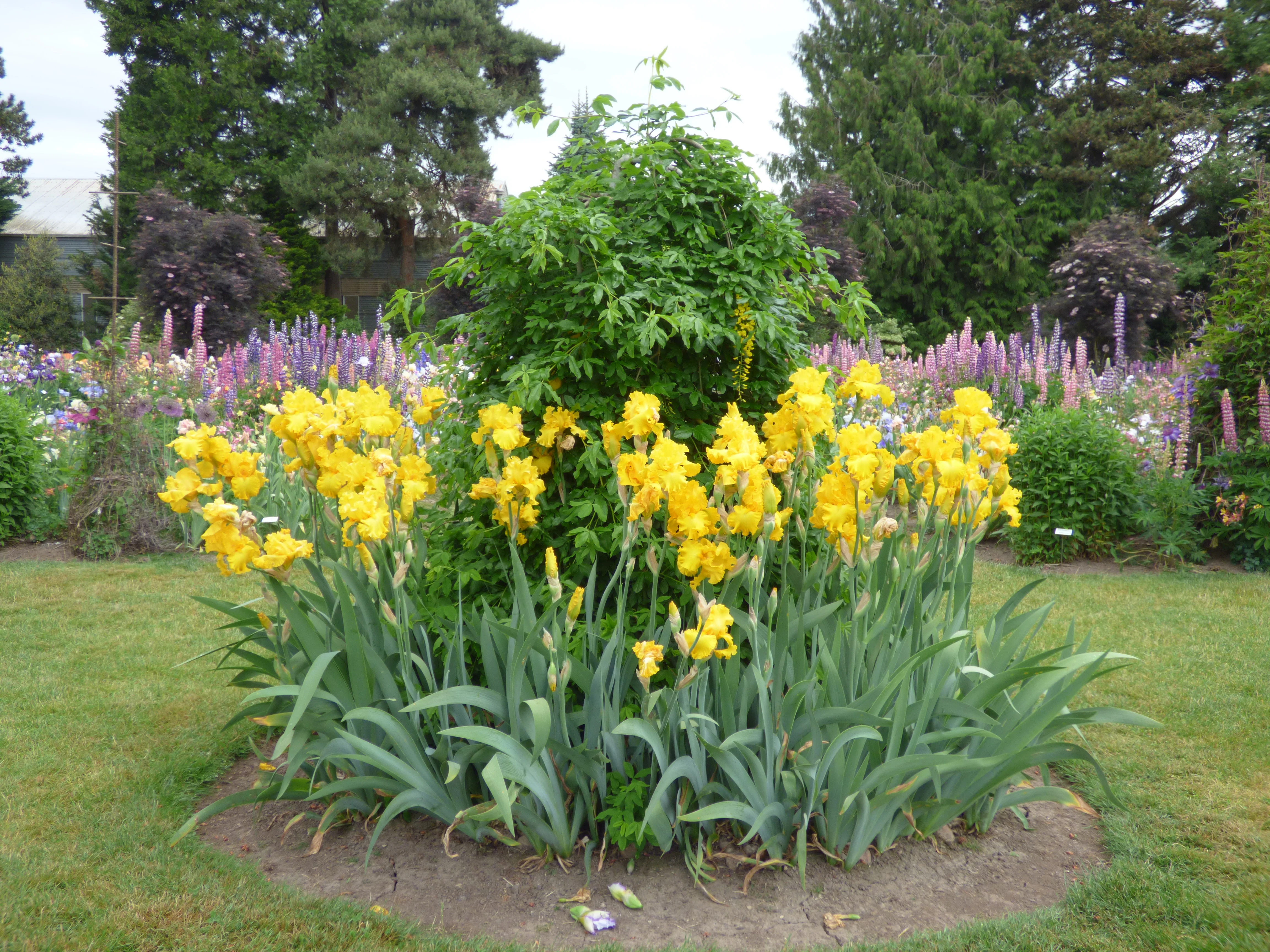 Garden Time - Image 4