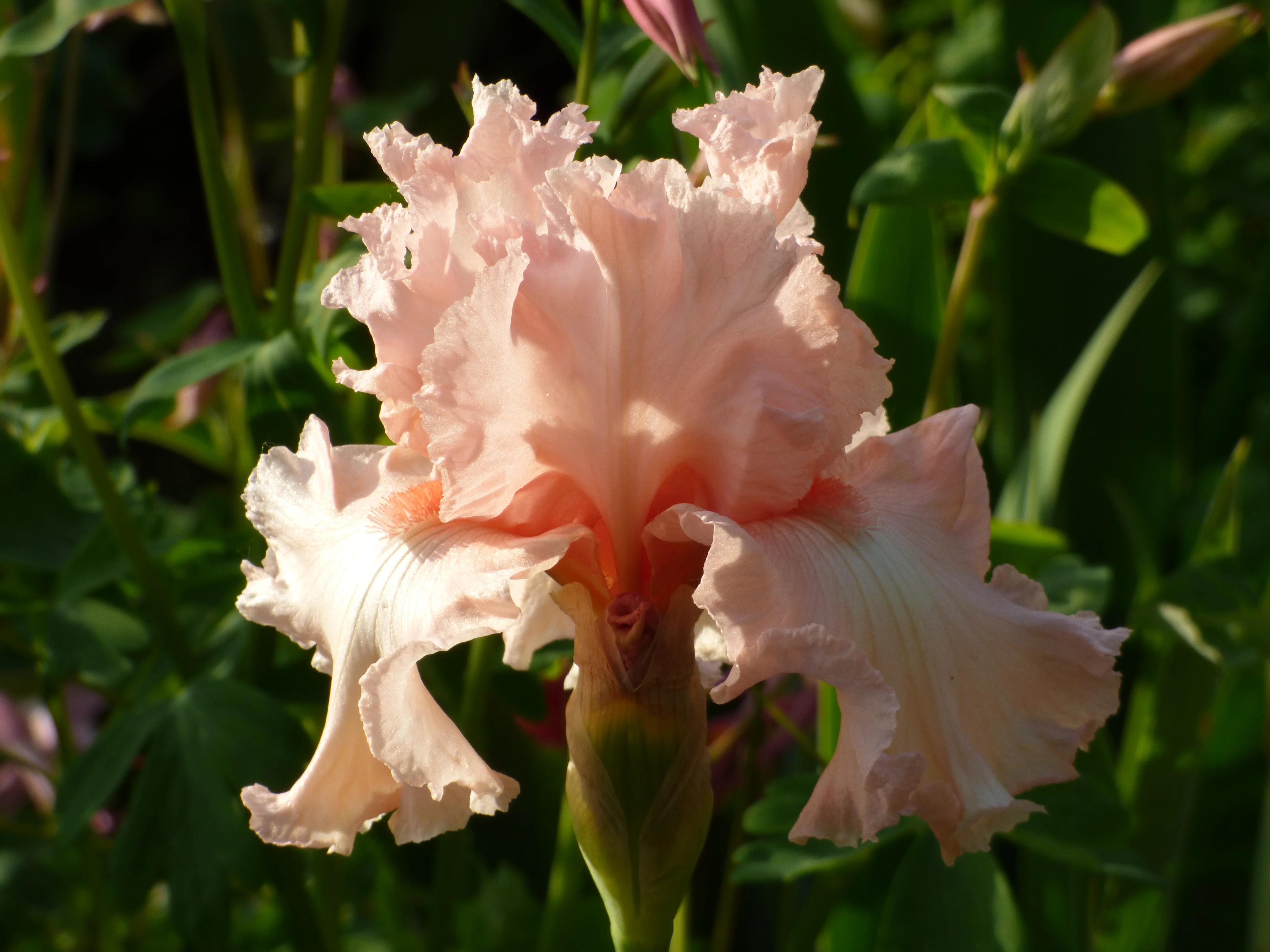 Happenstance - Image 4