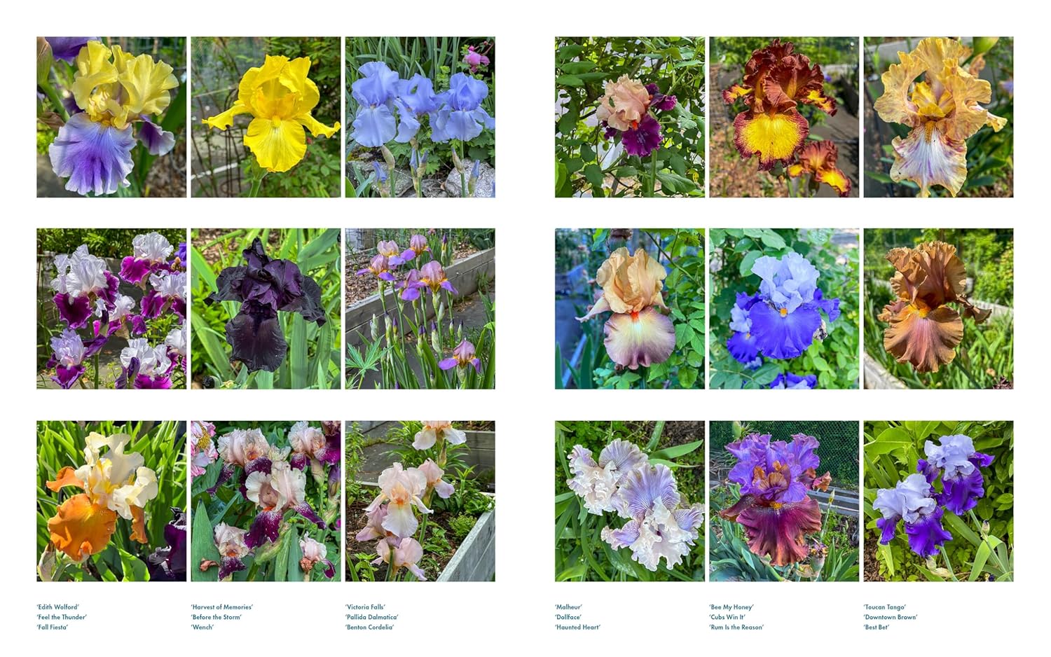 Book: Life with Flowers - Image 3