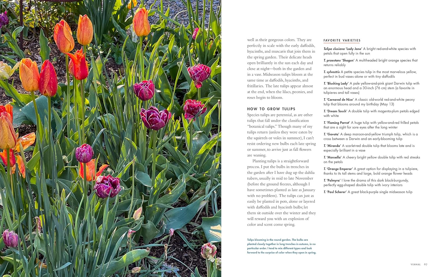 Book: Life with Flowers - Image 4