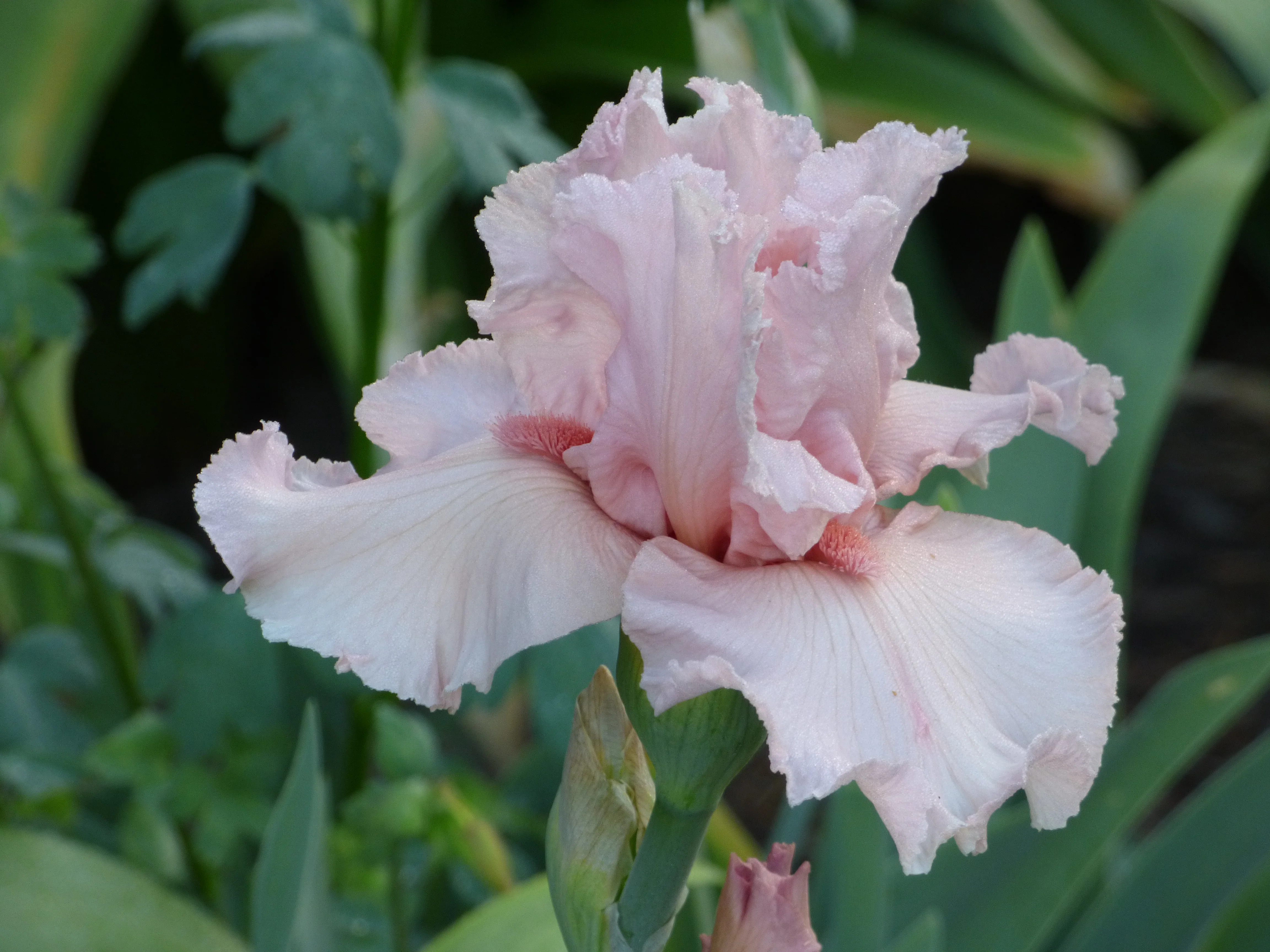 Pinking of You - Image 3