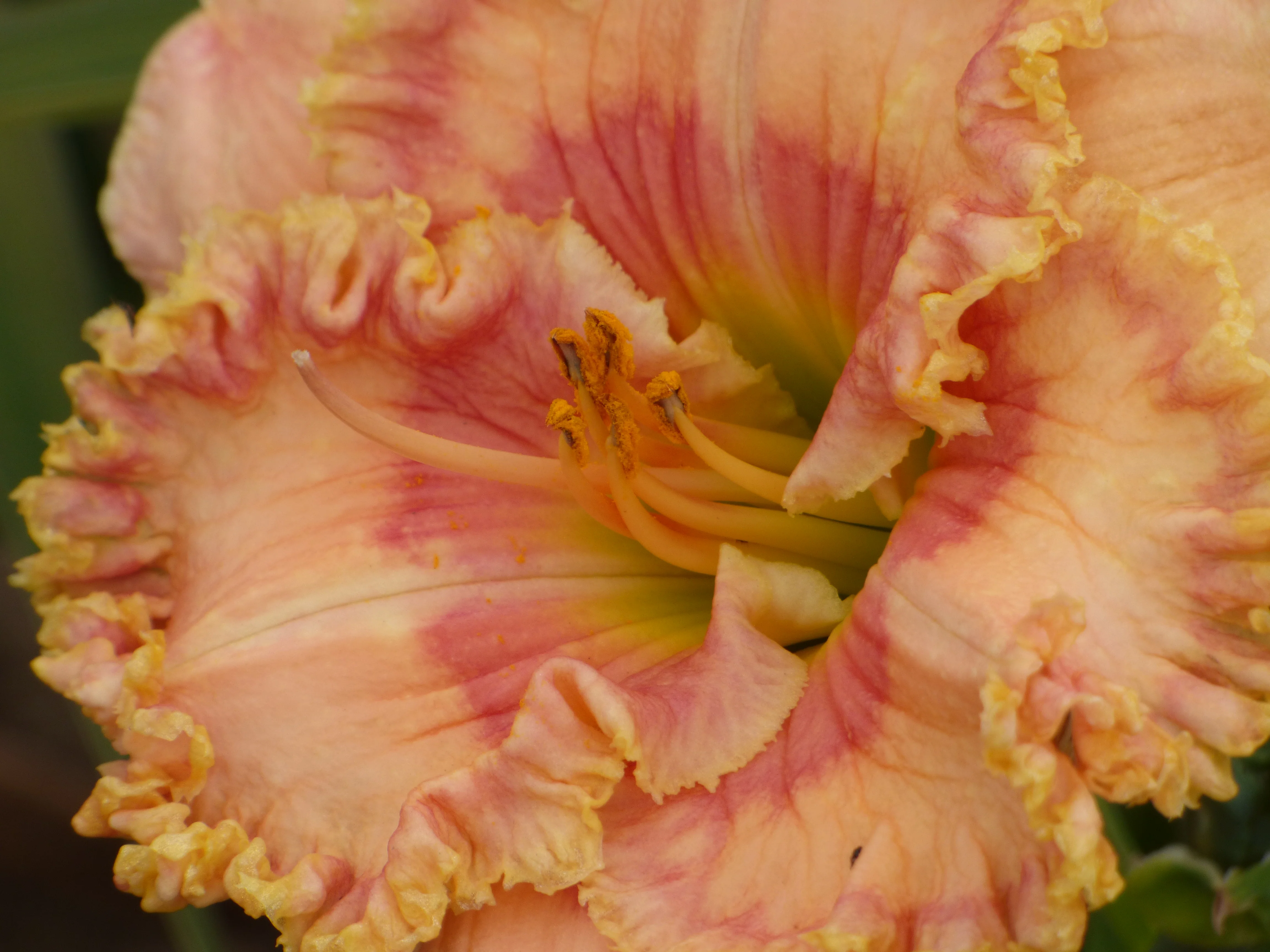 Sending Love - Image 3